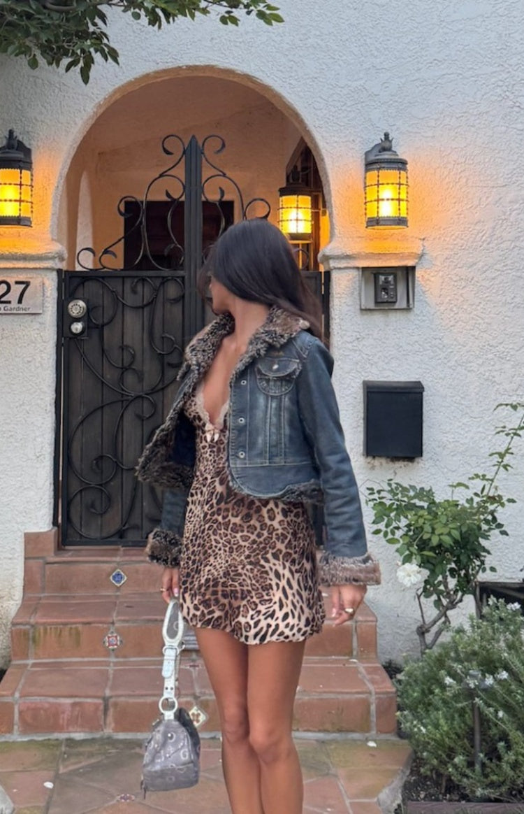 Alexa Leopard Print Mini Dress