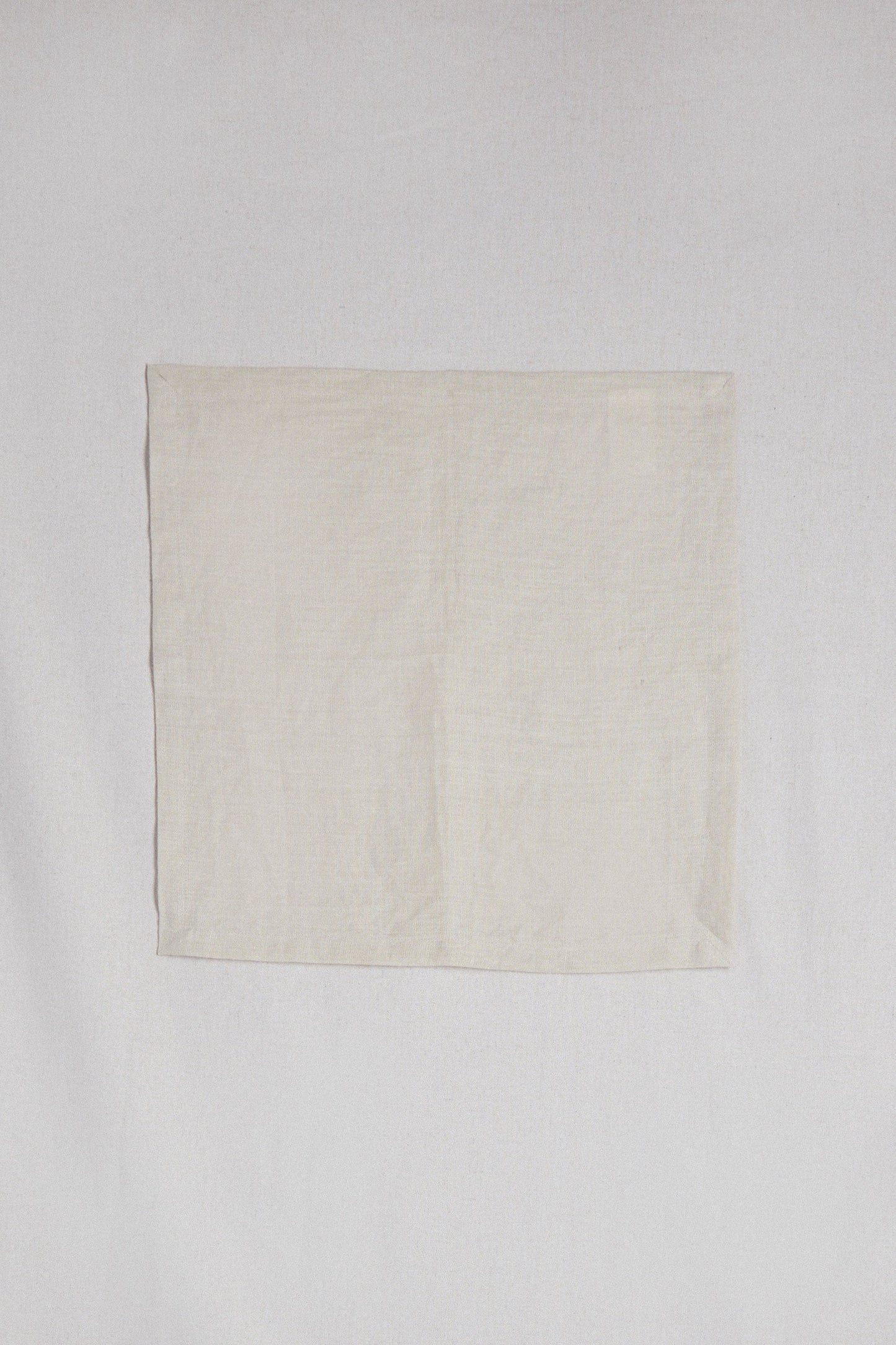 LINEN NAPKINS SET OF 2