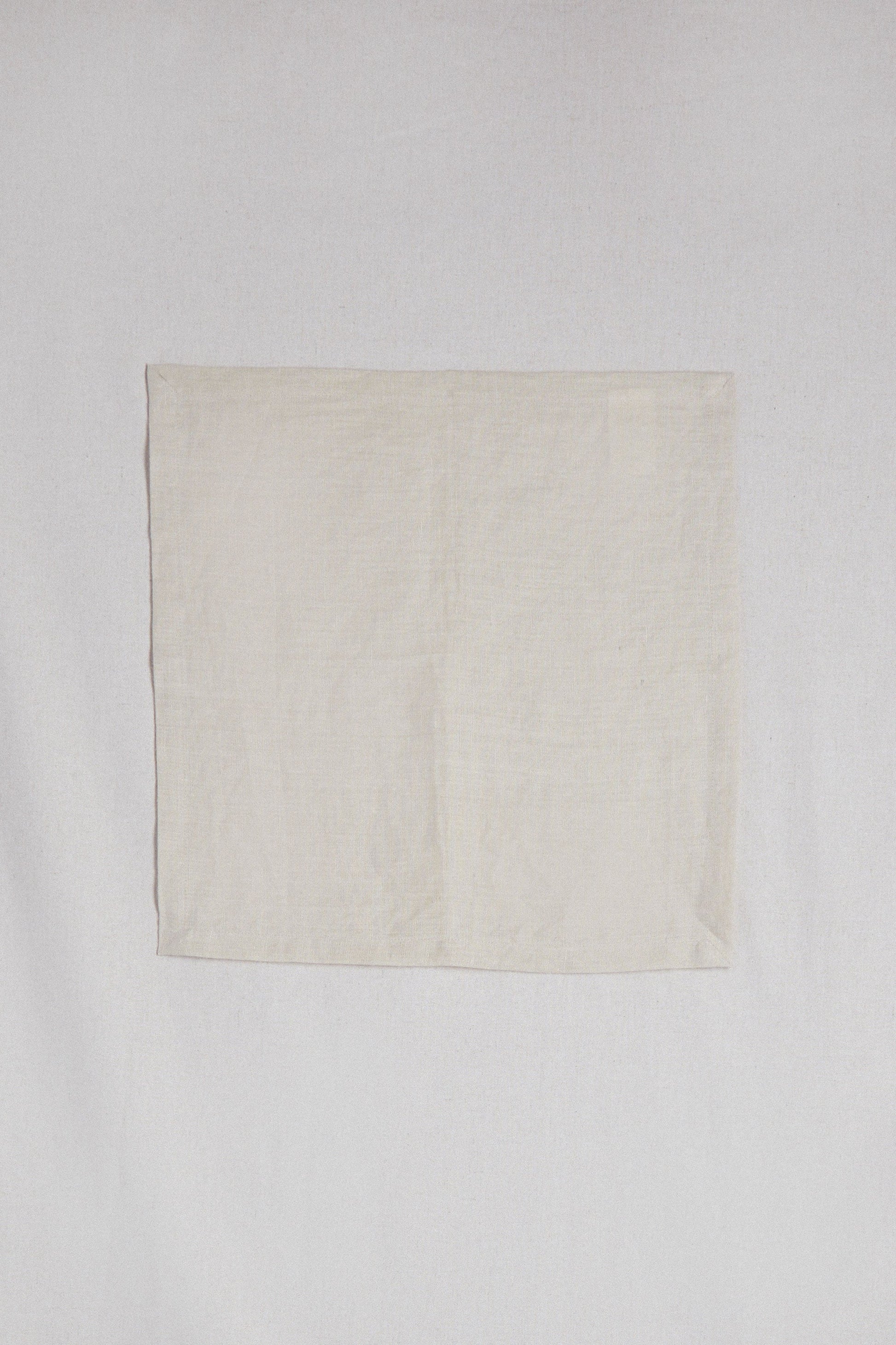 LINEN NAPKINS SET OF 2