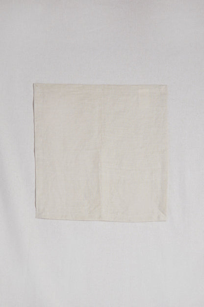 LINEN NAPKINS SET OF 2